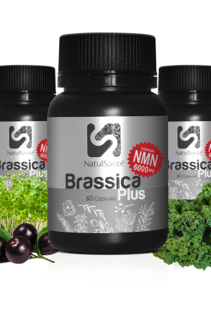 Brassica Plus NMN 高纯度抗衰老胶囊
