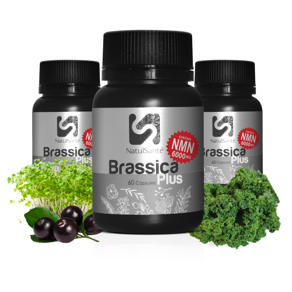 Brassica Plus NMN 高纯度抗衰老胶囊